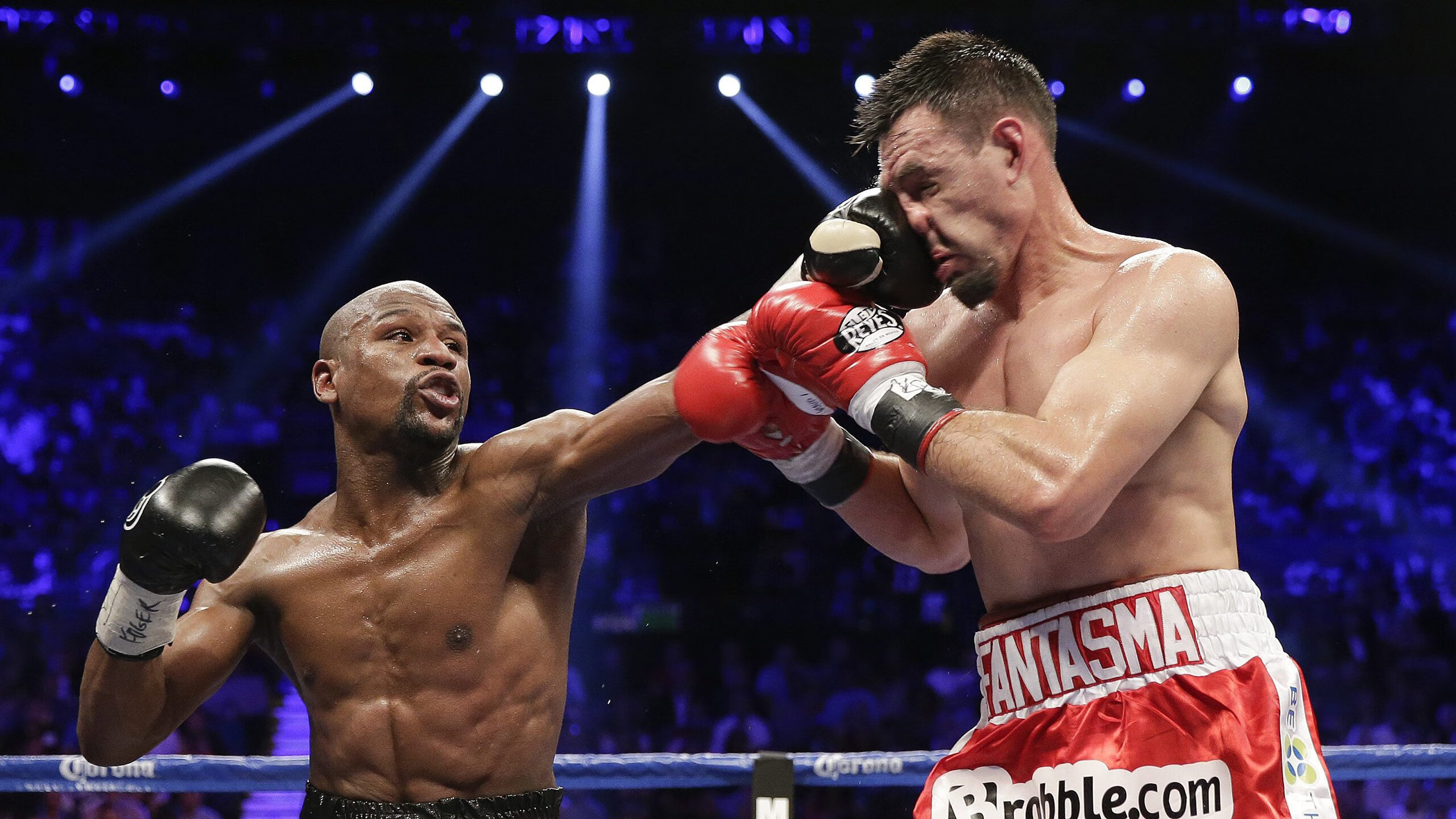 WBO与IBF联手对抗竞争,共同制定战略,wba和wbo区别