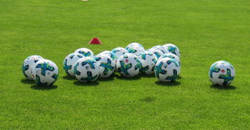 乒乓德甲俱乐部商业模式的困惑与转型之路，甲b乒乓球俱乐部联赛